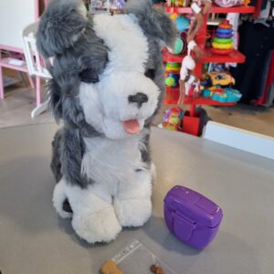 Ricky le husky très malin