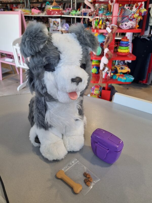Ricky le husky très malin
