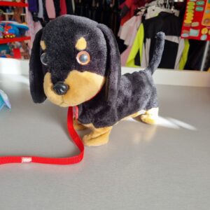 waggles - chien en balade